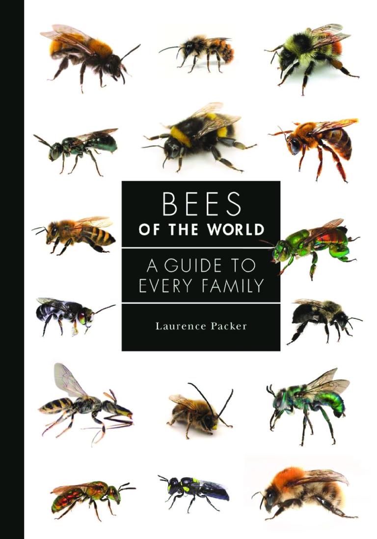 Bees of the World By Laurence Packer
