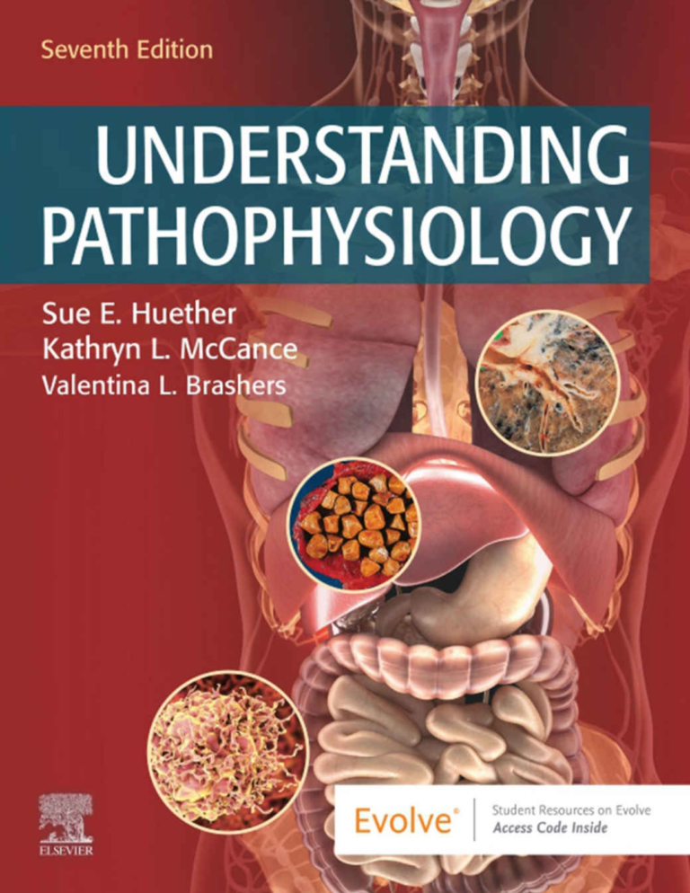 eBook Understanding Pathophysiology 7th Edition By Sue E. Huether, Kathryn L. McCance, Valentina L. Brashers
