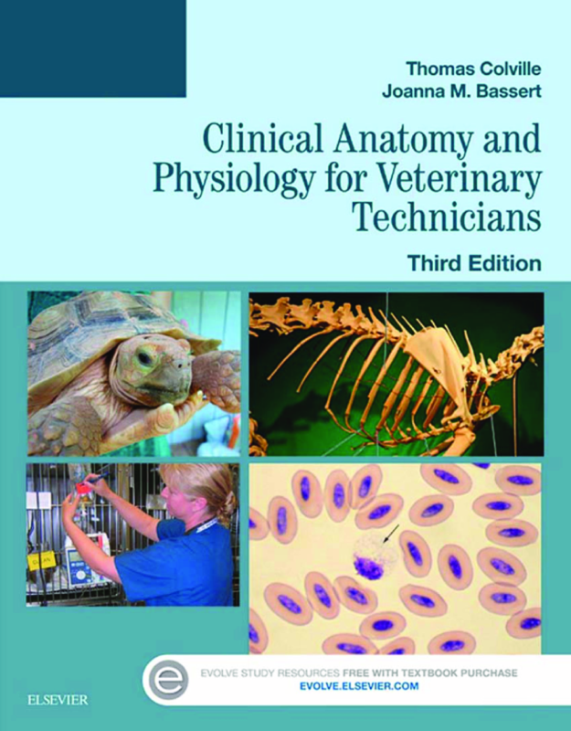 eBook Clinical Anatomy and Physiology for Veterinary Technicians 3rd Edition By Thomas Colville, Joanna M. Bassert –