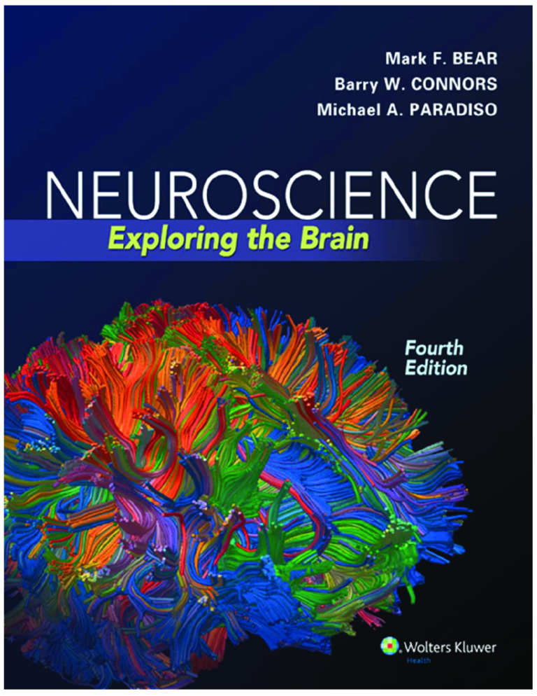 eBook Neuroscience Exploring the Brain 4th Edition By Mark F. Bear, Barry W. Connors, Michael A. Paradiso