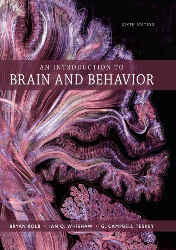 An Introduction to Brain and Behavior 6th Edition By Bryan Kolb, Ian Q. Whishaw